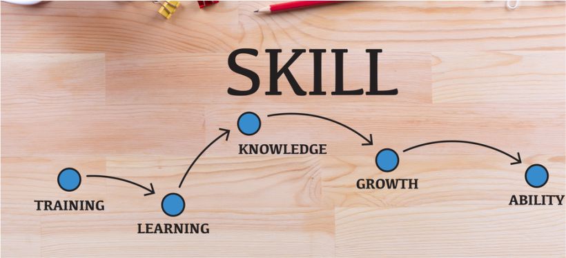 Skill Ecosystem
